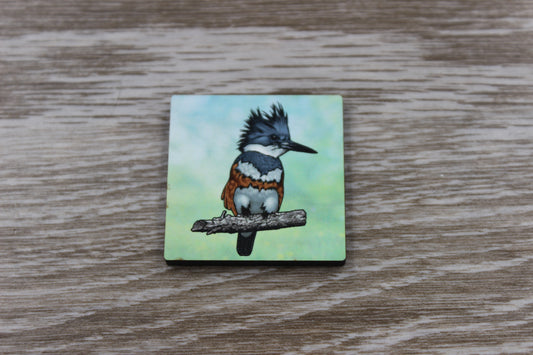 Belted Kingfisher Pin