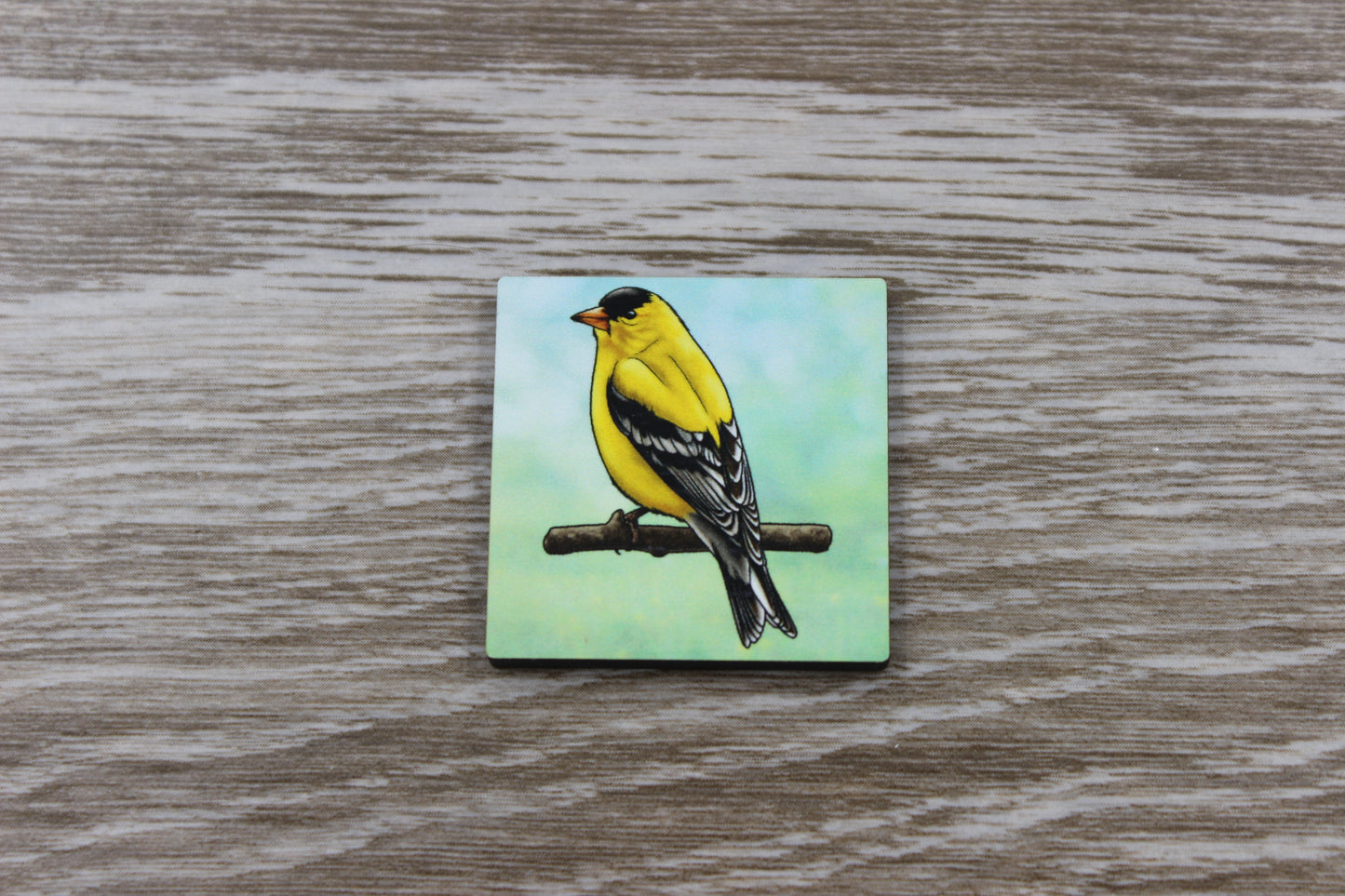 American Goldfinch Pin