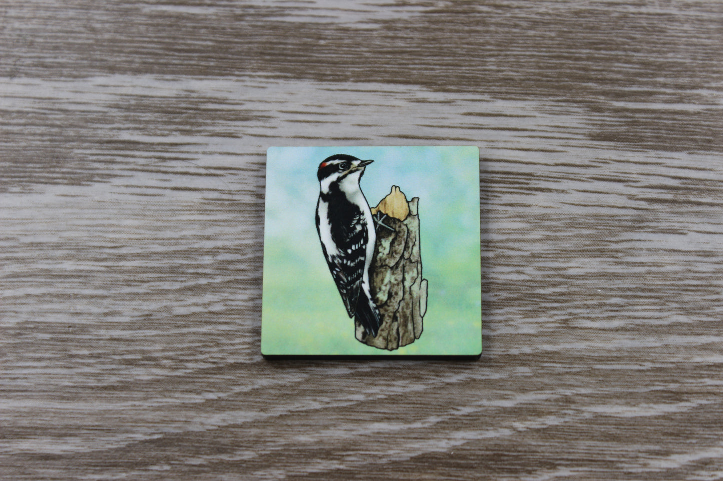 Downy Woodpecker Pin